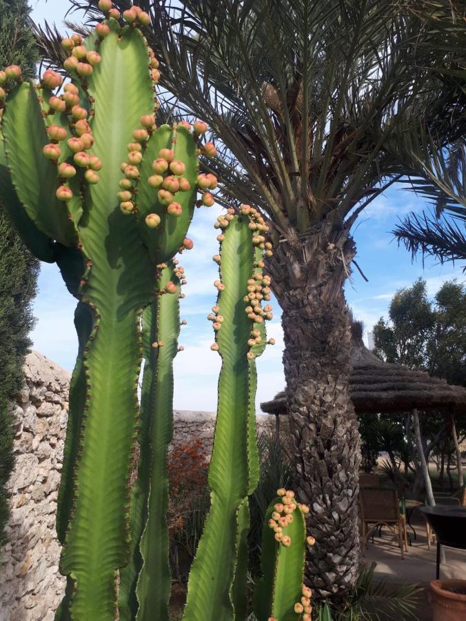 La Maison D'Helene Essaouira Al Ghar Екстериор снимка