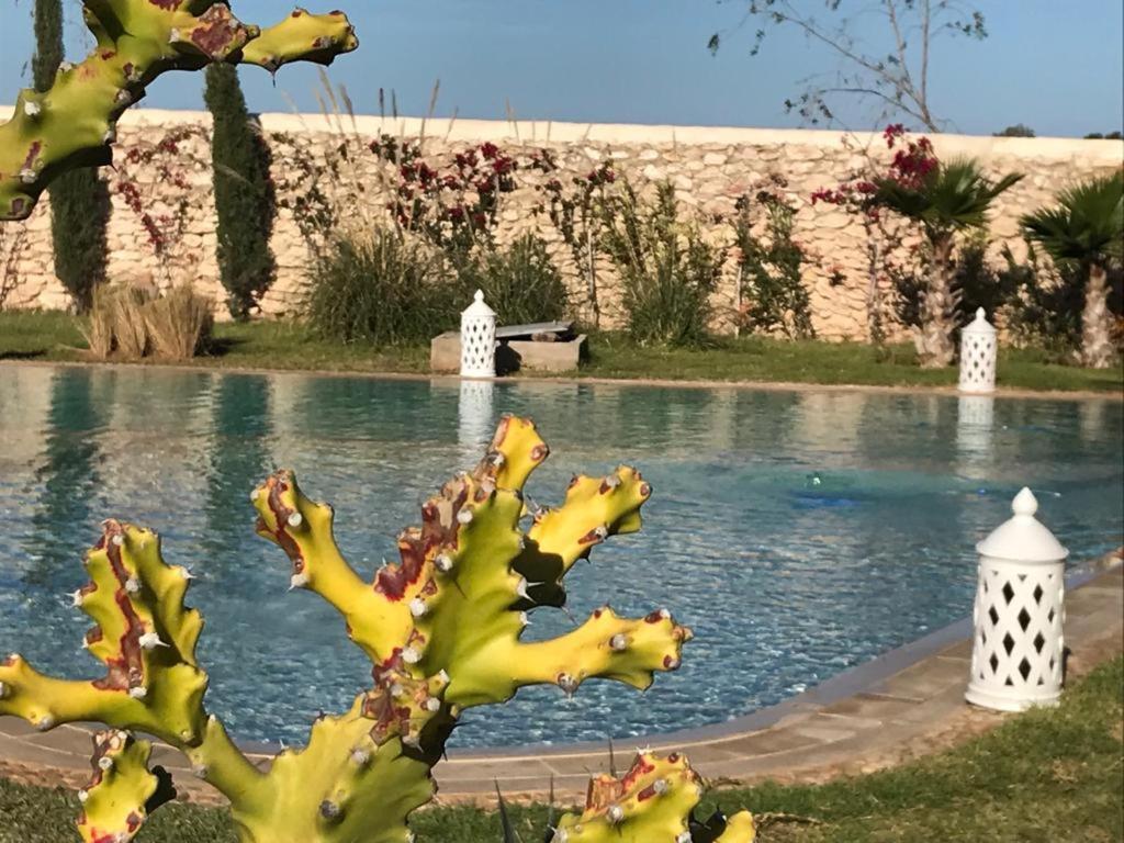 La Maison D'Helene Essaouira Al Ghar Екстериор снимка